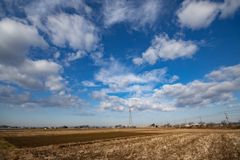 冬の田んぼと空