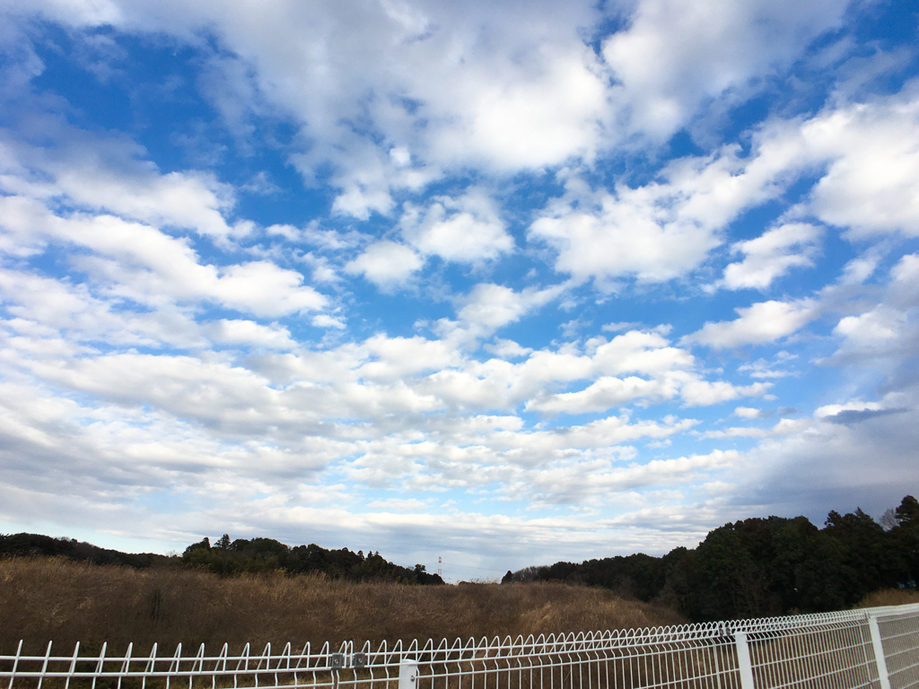 今日の空