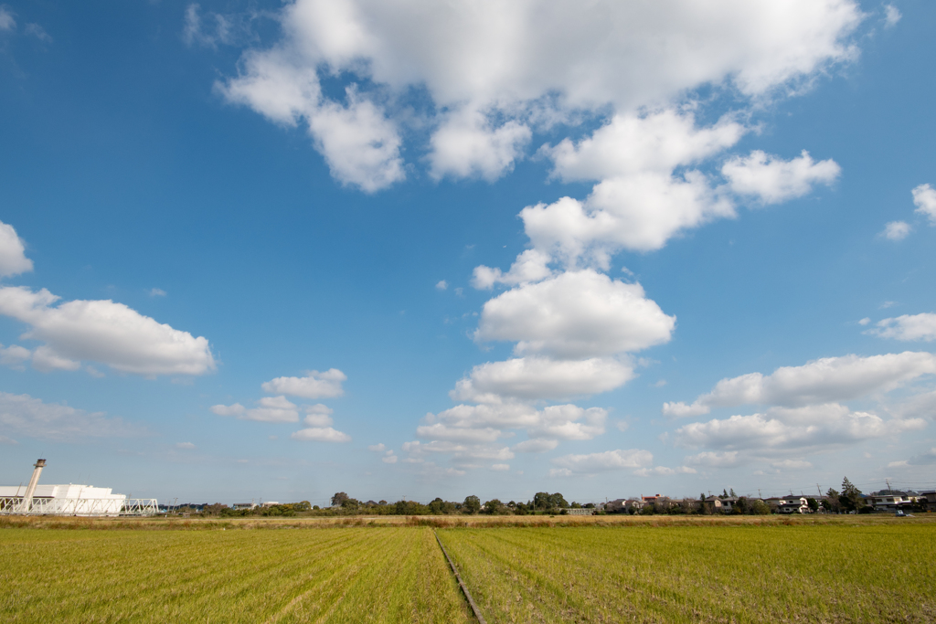 今日の空