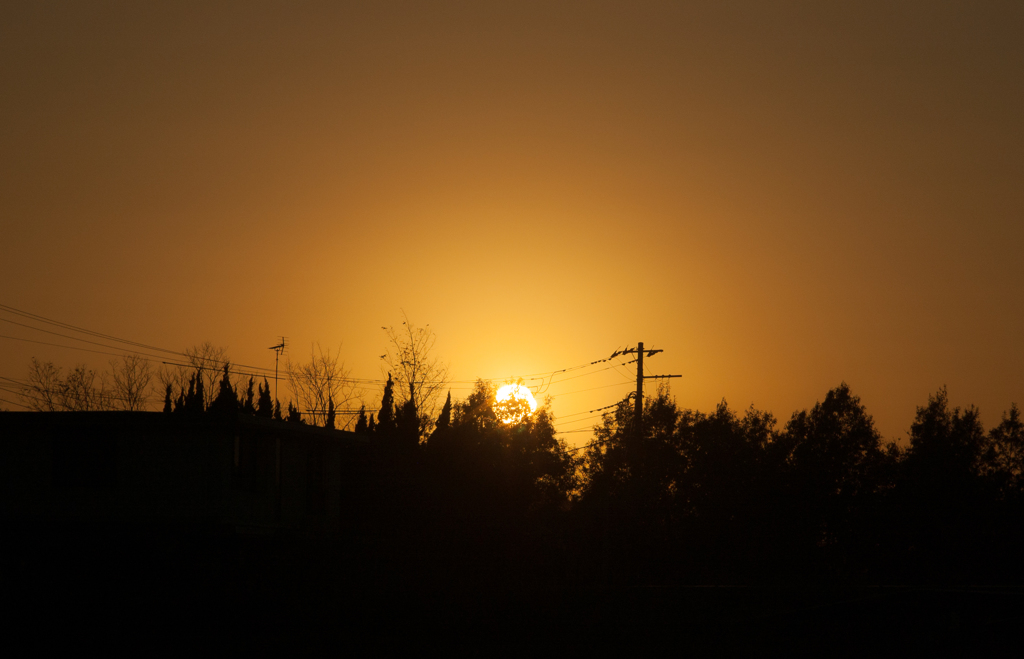 電線に沈む夕日