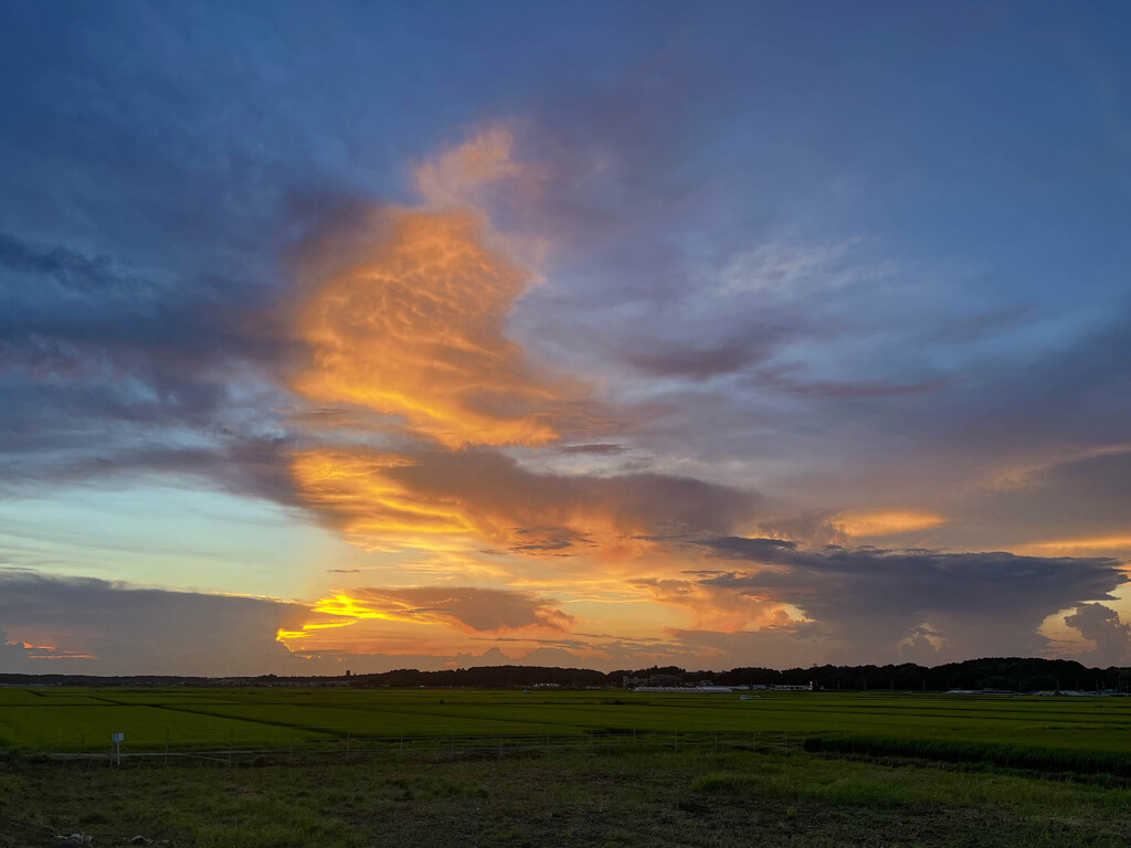 昨日の夕景２