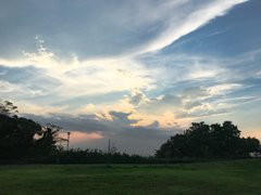 今日の空