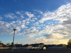 今朝の空