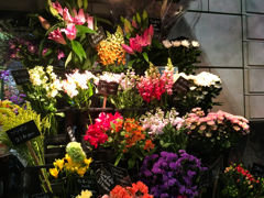 浅草の花屋さん