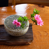 喫茶店のツツジ