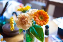 ガーベラ、カーネーション