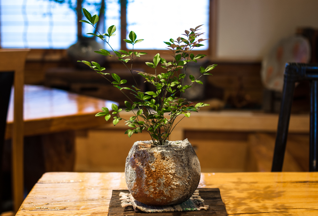 喫茶店の南天