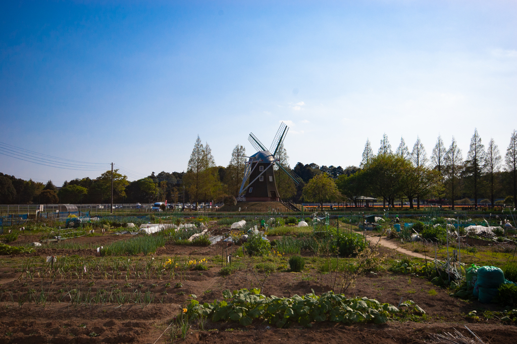 あけぼの山農業公園（おまけ）