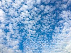 今朝の空