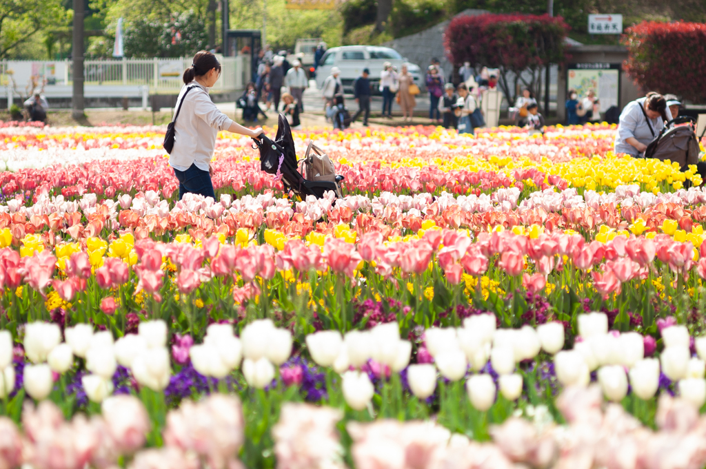 あけぼの山農業公園５