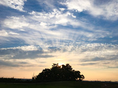 今日の夕方