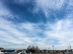 表情のある空