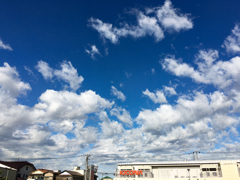 秋も近い