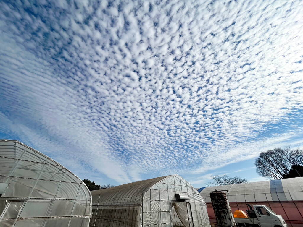 今日の空１