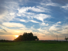 今日の空