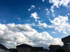 夏雲