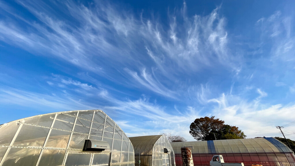 今日の空