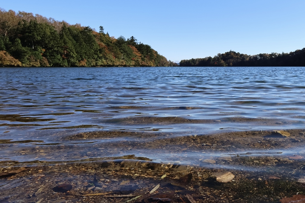 奥日光湯の湖の秋