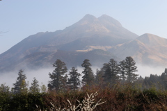 霞む由布岳