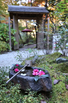 一条恵観山荘　