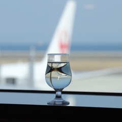 これより搭乗する便を覗く 大分空港にて