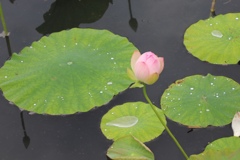 見返していたら可愛かったので