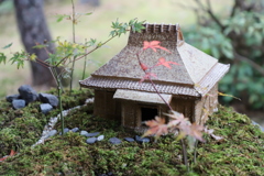 苔テラニウム