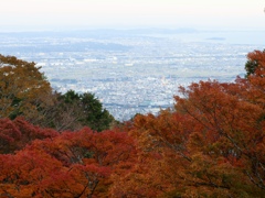 大山から遠く霞む江ノ島をながめて