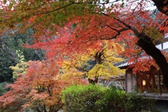 香嵐渓　秋色
