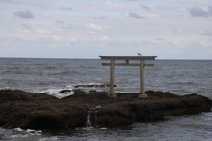 大洗磯前神社