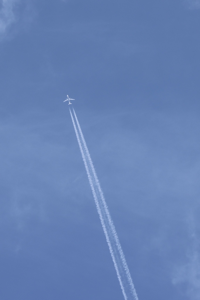 夏の空見上げてみれば