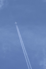 夏の空見上げてみれば