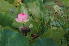 そこだけ輝いているような気がして