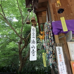 光輝好齢