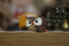 はじめての単焦点