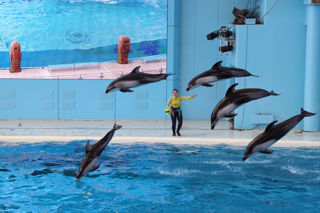 C62E92EB-59A5-498B-A4A3-3E744F58552F