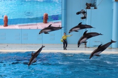 C62E92EB-59A5-498B-A4A3-3E744F58552F