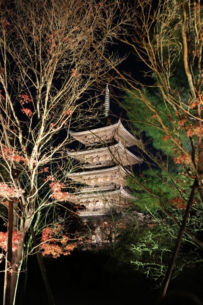 仁和寺五重塔ライトアップ