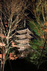 仁和寺五重塔ライトアップ