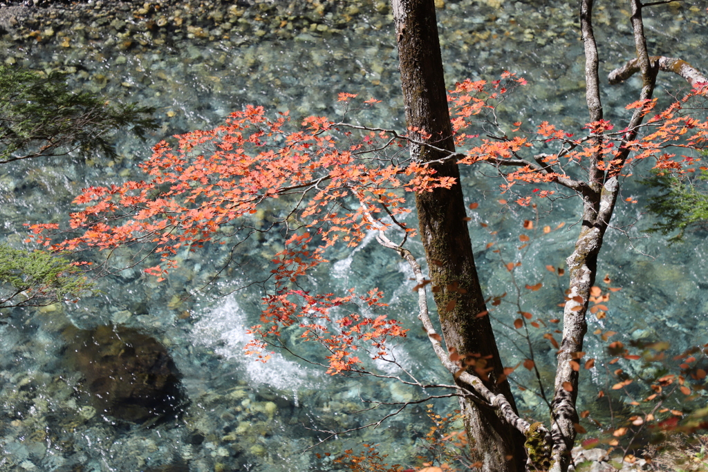 清流