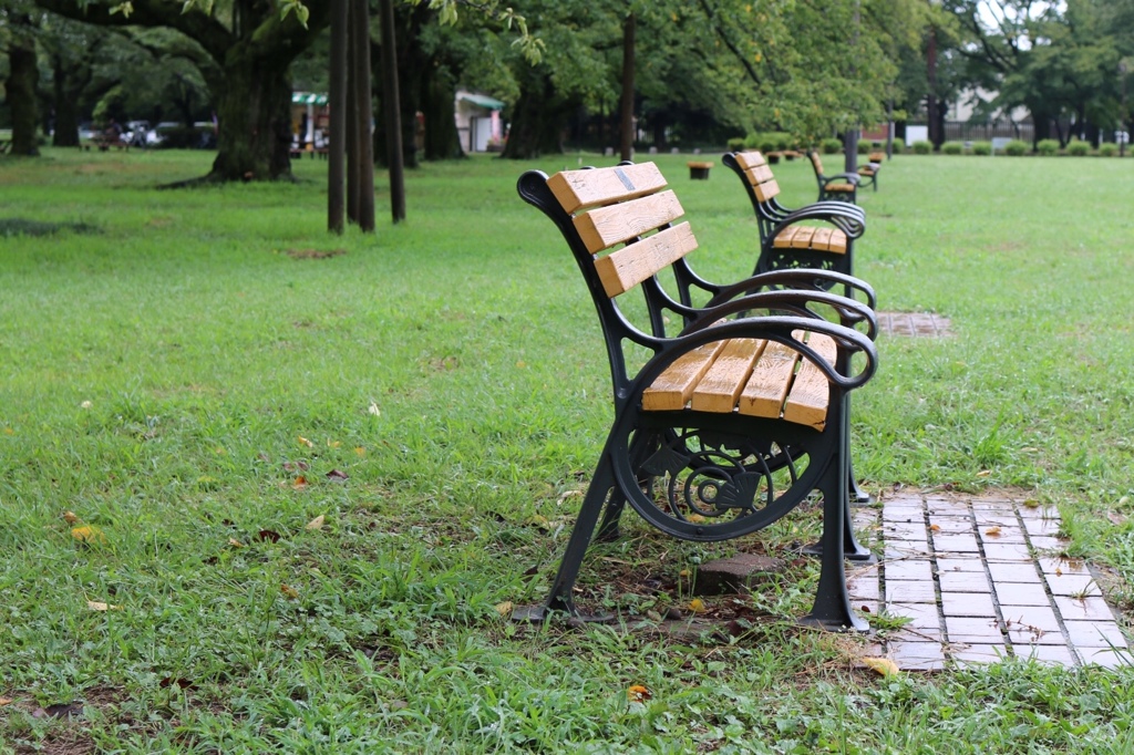 雨の公園