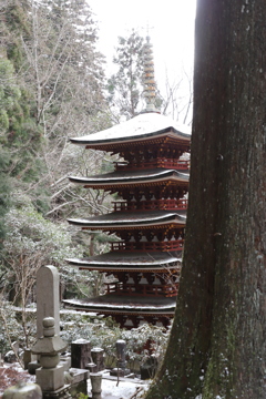 室生寺五重塔の雪化粧
