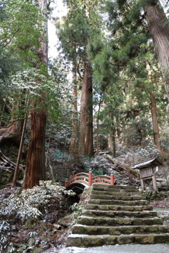 室生寺奥の院への道