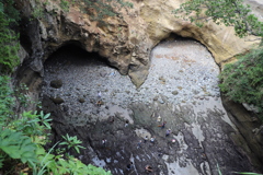 龍宮窟 伊豆下田