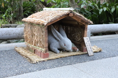 なるほどね明月院