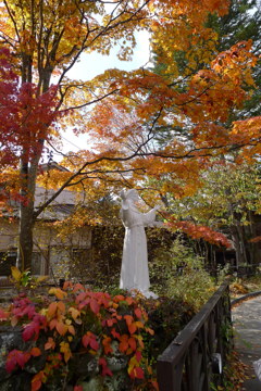 蔵出し軽井沢