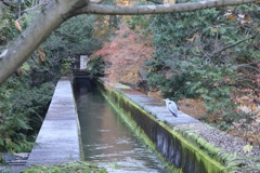 魚つり禁止…魚取りも禁止