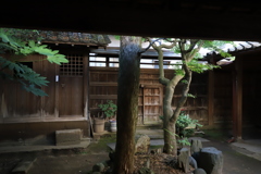 千葉佐原のある呉服屋さんの中庭