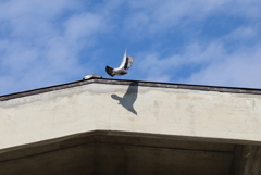 あと100分の2秒くらい遅かったら影が...