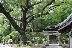 事任神社(ことのまま神社)